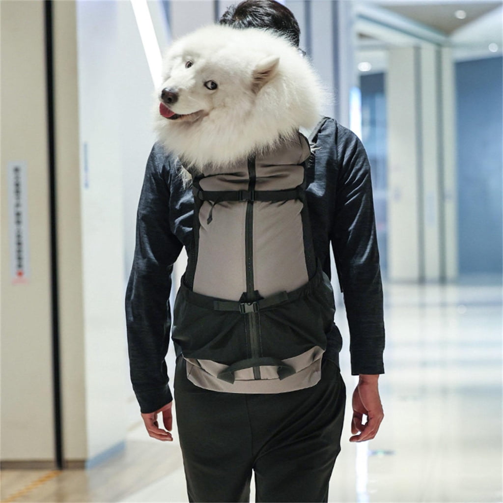 Water Dog Carrier Backpacks Durability Large Dog Carrying Bag for Other Outdoor Activity