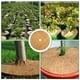 thumbnail image 4 of Inteprter 6 pack/lote forro polar de invierno para protección contra heladas cubierta práctica para plantas estera de coco para crecimiento Jardín y Patio, 4 of 6
