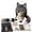 Wolf #16, variant on 2026 Fantasy Hood Hat DIY Crochet Kit Series,Animal Crochet Kit for Beginners with Step-by-Step Instructions,All-in-One Complete Set for Dragon Fox Wolf Frog Rainbow Hoods,Craft Gift