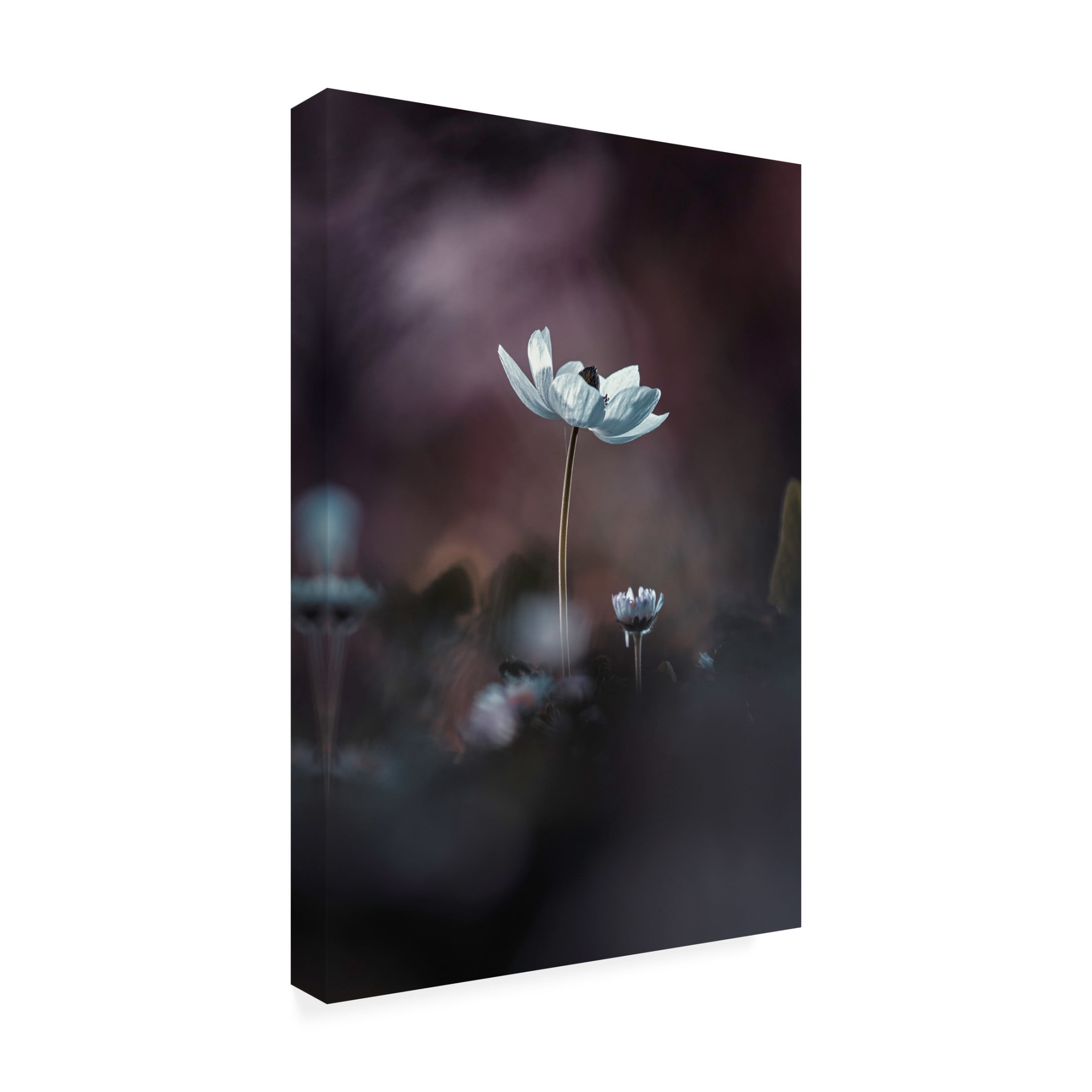 Canvas Wall Art - Fabien Bravin 'Elles, Mes Fleurs, Acmoi' Wall Art for Living Room, Bedroom, or Office Décor by Trademark Fine Art - 30 x 47 Inches