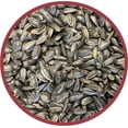 Pennington Select Black Oil Sunflower Seed Dry Wild Bird Feed, 40 lb