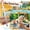 Home, variant on Quokka 10-Pack Water Painting Kit – Dementia Art & Craft Activities for Seniors - Farm Memories