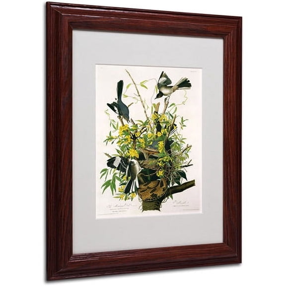 Trademark Fine Art "Mocking Birds and Snake II" Canvas Art by John James Audubon, Wood Frame