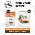 thumbnail image 4 of Nutro Natural Choice Large Breed Senior Dry Dog Food Chicken & Brown Rice Recipe 30lbs, 4 of 9