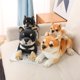 thumbnail image 2 of New 20/35cm Lying Orange&Black Dog Plush Doll Stuffed Animals Realistic Dog Toy Children Photography Props Boys Birthday Gifts220cm Deng Xun unisex, 2 of 2