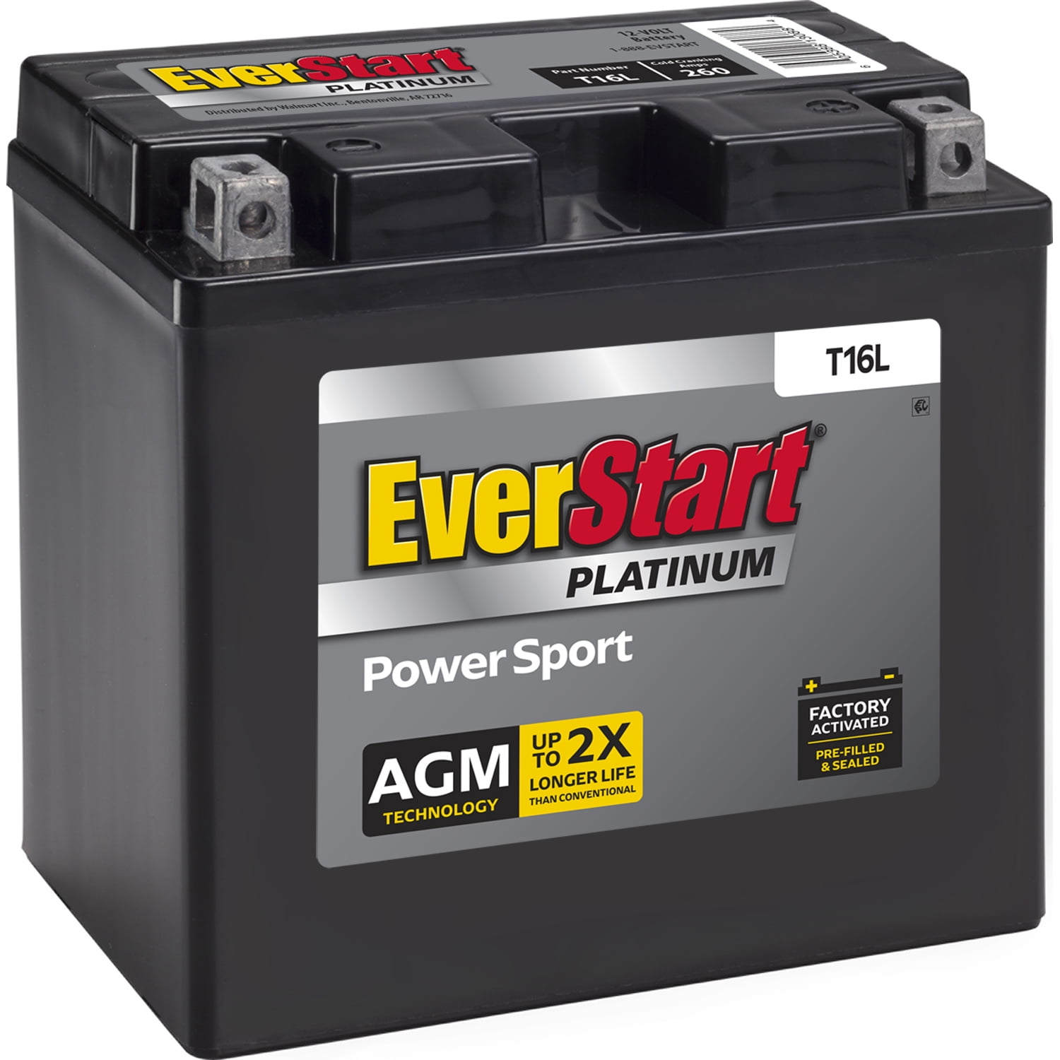 EverStart Premium AGM Power Sport Battery, Group Size T16L 12 Volt, 260 CCA