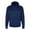 Athletic Navy, variant on Champion Fresh Olive 11278 M