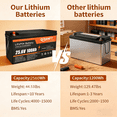 thumbnail image 5 of 24V 100Ah LiFePO4 Lithium Battery, Built-in 100A BMS, 2560W Power Output, 25.6V High Energy Density, Ideal for Marine, Solar, Off-Grid and Home Backup, 5 of 5