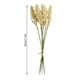 thumbnail image 2 of Bewildely 1/6/10 Uds. Espigas de grano pequeñas frescas con simulación de hierba ramo de flores flores secas decoración pastoral natural para el hogar Flores artificiales beige Bewildely HA6566-03B, 2 of 6