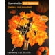 thumbnail image 3 of Guirnalda decorativa de otoño Luditek con hojas de otoño con luces LED de 24.6 pies, 3 of 7