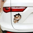 thumbnail image 4 of 13*18CM Car 3D Stereo Anime Funny Personality 3D Stereo Kitten Sticker Car Styling Sticker, 4 of 9