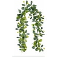 thumbnail image 2 of Cadancy Artificial Eucalyptus Garland 6FT Fall Harvest Mantle Greenery with Green Buds for Thanksgiving Christmas Fireplace Table Runner Centerpiece Home Wall Door Hanging Decor, 2 of 6