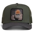 thumbnail image 1 of GOORIN Gorra trucker unisex - Gorra, parche frontal, talla única Boss Trucker Palm, 1 of 7