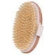 thumbnail image 1 of Cepillo corporal para piel seca, cerdas naturales, elimina la piel muerta y las toxinas, mejora la salud y la belleza de la piel, 1 of 5