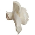 thumbnail image 2 of Vickerman 1.6" - 3.2" Assorted Natural Dried Rosette Sola Flower Head 24 per Bag, 2 of 2
