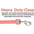 thumbnail image 5 of Regal Dog Products Waterproof Leash – 5 ft. Orange Dog Leash with Easy to Use Collar Hook, Lightweight, and Proof Training Pet Lead with vinyl-coated webbing for Small, Medium, Large, or XL Dogs, 5 of 9