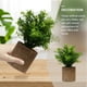 thumbnail image 5 of GOOHOCHY Simulación de planta artificial planta verde bonsai para sala de estar para sala de estar, 5 of 8