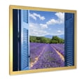 thumbnail image 2 of Designart 'View of Lavender Field Through Blue Open Cottage Window' Farmhouse Framed Art Print, 2 of 4