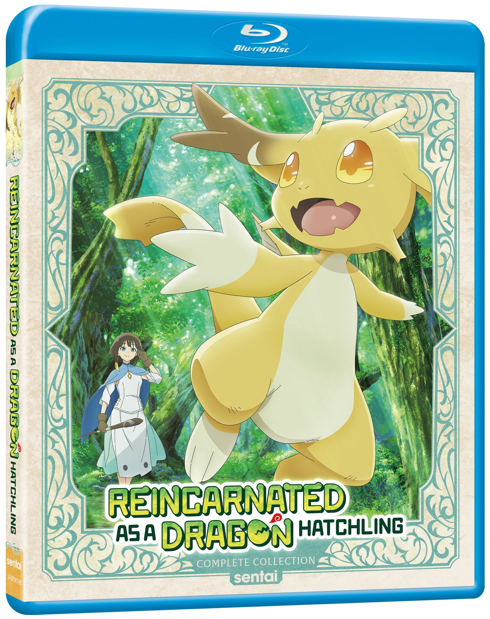 Reincarnated as a Dragon Hatchling Complete Collection (Blu-ray), Anime, AMC