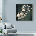 thumbnail image 3 of Trademark Fine Art 'Two Unknowns Texture' Canvas Art by Michael Harrison, 3 of 3