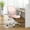 Dark Pink, variant on Gianna Ergonomic Mesh Office Chair with Lumbar Support, Armrests, Wheels, and Mid-Back Design for Home or Office Use, Black