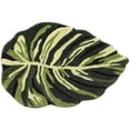 thumbnail image 4 of FRABE Cute Bathroom Rugs with Green Dark Monstera Leaf Plant, Soft Fluffy Plush, Absorbent Non Slip Bath Mat, Machine Washable,for Shower Floor,home, Bedroom, 24"x32", 4 of 9