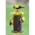 thumbnail image 1 of Mangeoire Jaune Nyjer 1-Quart, 1 of 1