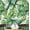 Green (Plain Vinyl), variant on S4Sassy Monstera Leaf Wallpaper - Green Wall Covering, 25" X 360" Self-Adhesive Vinyl Walls Paper, Decorative Wallwrap, Easy Diy Walls Covering For Bedroom, Living Room, Living Space