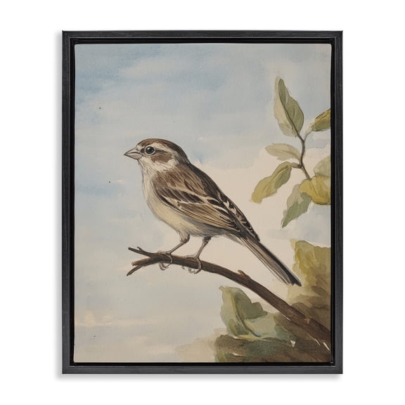 Stupell Industries Traditional Brown Bird Perched on Branch Black Floating Frame Canvas Art, 17 x 21, by Petals Prints Design