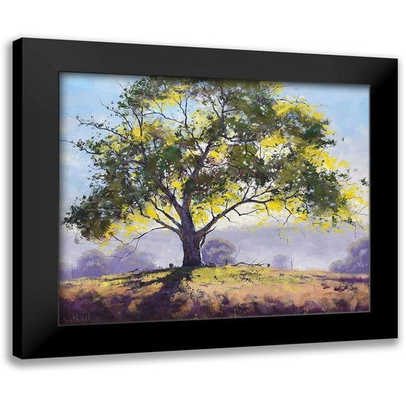 Gercken, Graham 14x12 Black Modern Framed Museum Art Print Titled - Sofala Gum