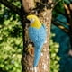 thumbnail image 1 of Estatua de pájaro en miniatura creativa para decoración de loros en el jardín o en el interior. Azul, 1 of 7