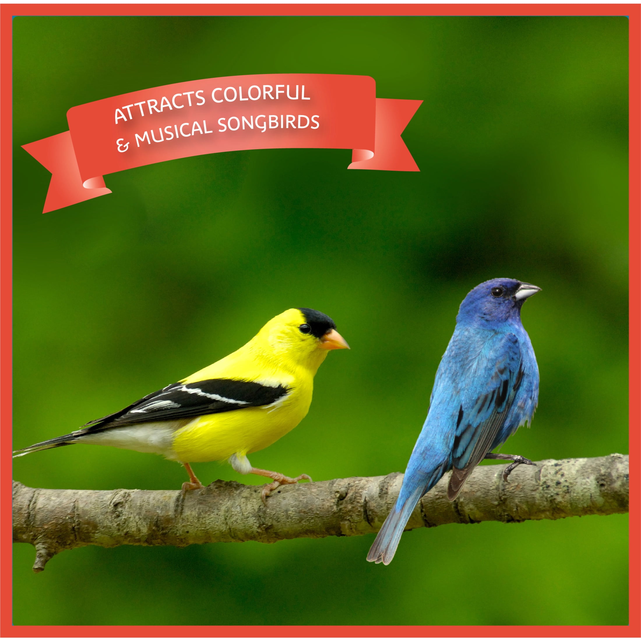 Pennington Ultra Songbird Blend, Dry Wild Bird Seed and Feed, 12 lb., 1 Pack