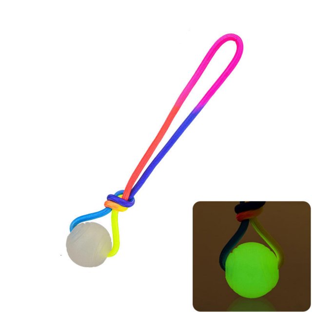 BotaniNest Glow In The Dark PuppyBall Luminous PuppyBall With Rope Luminous RubberBalls For Small Large And Medium Puppy Glow In The Dark