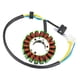 thumbnail image 4 of Estator de Motocicleta Sunnimix Bobina de magneto de 18 cables para YP250 LH170MN, 4 of 6