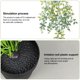 thumbnail image 3 of Plantas artificiales falsas en macetas, plantas verdes en macetas para el hogar, la oficina, el escritorio, el alféizar de la ventana, el baño, el dormitorio, el exterior y el interior, 3 of 5