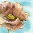 thumbnail image 3 of Ferry, Margaret 12x12 Black Modern Framed Museum Art Print Titled - Fresh Poppies I, 3 of 5