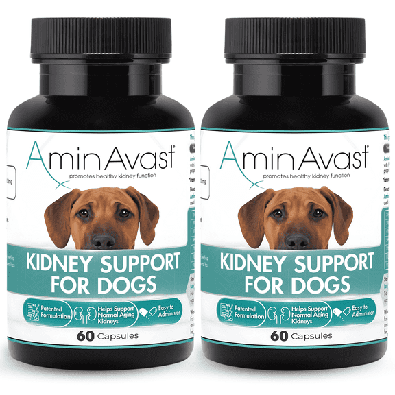 AminAvast Kidney Support Supplement for Dogs, 1000mg, 60 Capsules, 2-Pack