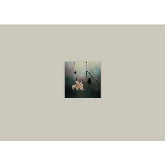 Arno Fischer: The Garden (Hardcover)