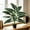 Multicolor#3828, variant on Artificial Money Tree Plant, 55 cm, Green Plastic Foliage with Adjustable Leaves, Indoor and Outdoor Decorative Potted Plant for Home, Office, Porch, Garden