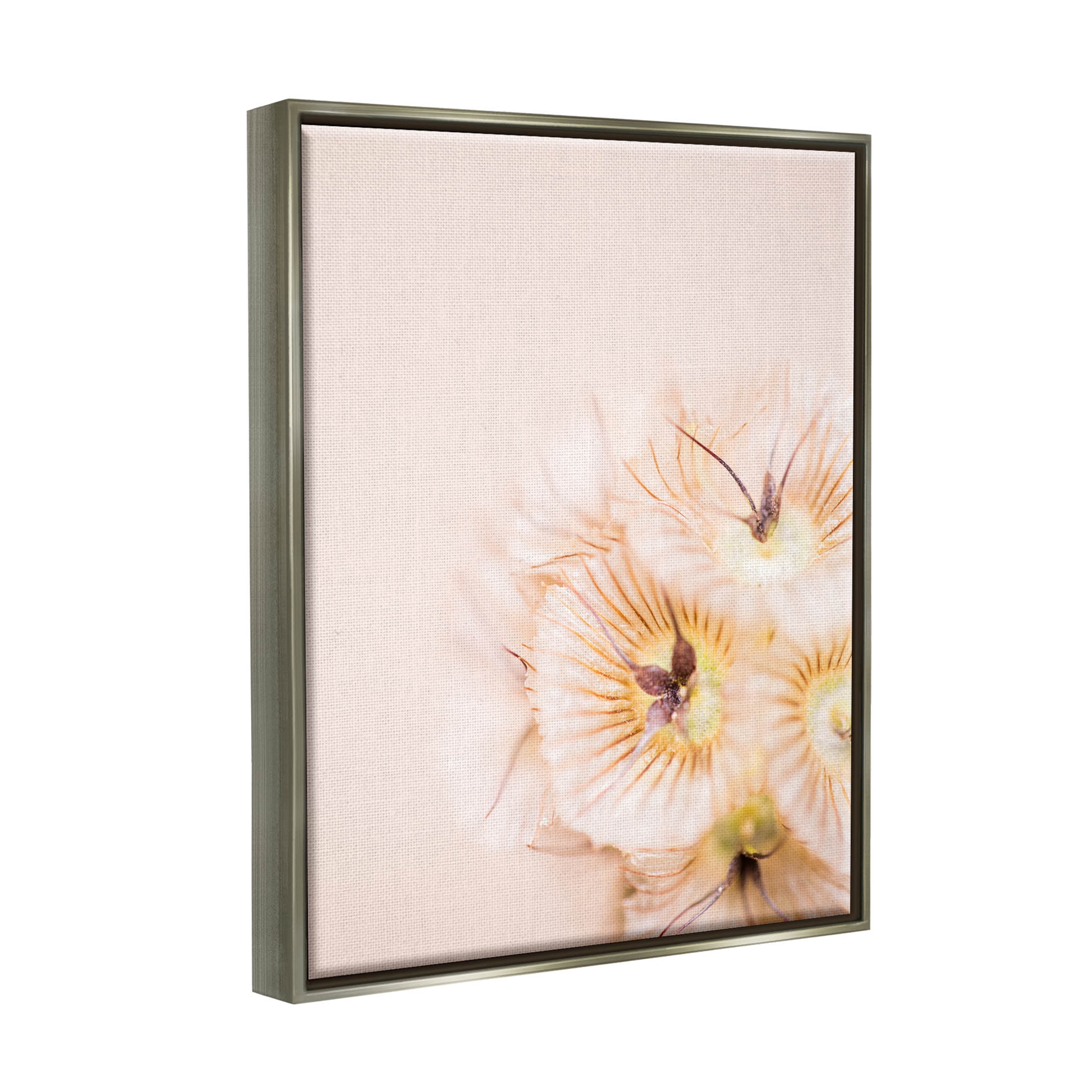 Close Up Pink Flower Anther Botanical & Floral Photograph Luster Gray Framed Art Print Wall Art