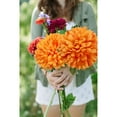 thumbnail image 6 of Briful Artificial Chrysanthemums Ball Flowers 6’’ Large Heads Mums Stems Fake Hydrangea Flowers Bridal Wedding Bouquet for Home Garden Party Wedding Decoration, Set of 4, Orange, 6 of 9