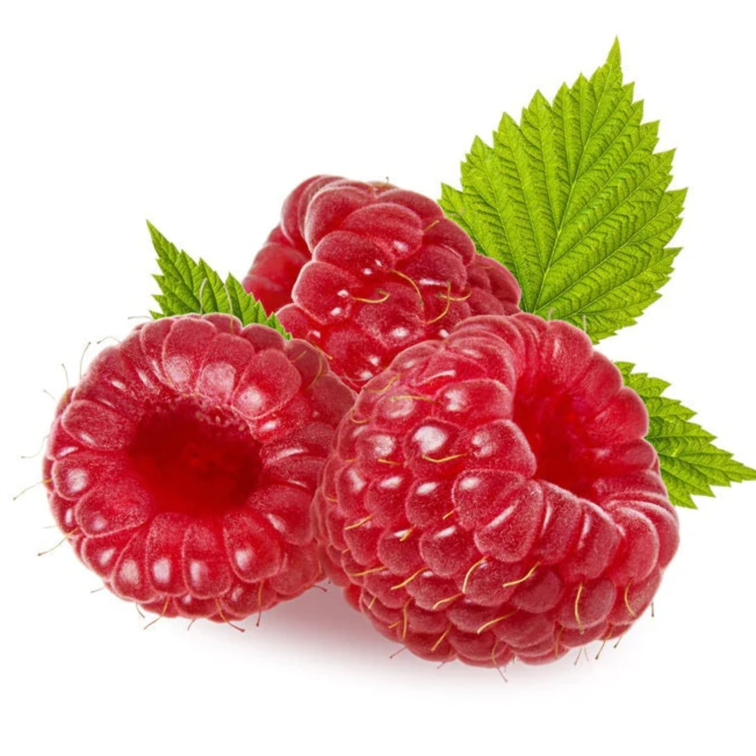 Nature Scents Raspberry Extract (Supercritical Co2) 4oz Pouch
