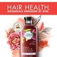 thumbnail image 3 of Herbal Essences Bio:renew Vitamin E with Cocoa Butter Conditioner, 13.5 Fl Oz, 3 of 7