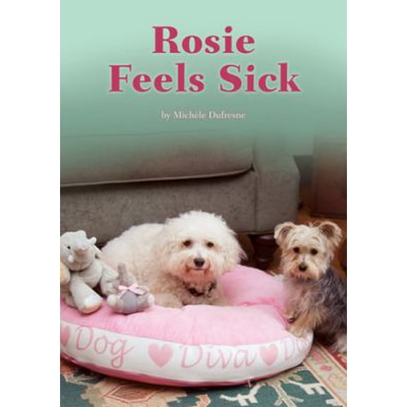 Pre-Owned Rosie Feels Sick (Paperback) 158453477X 9781584534778