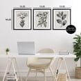 thumbnail image 3 of Stupell Industries Classic Natural Botanicals 3 Piece Black Framed Print Under Glass Set design by Karen Smith, 16 x 13, 3 of 10