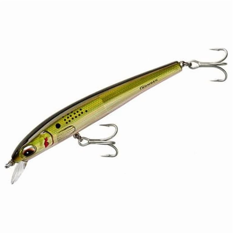 buzz plug fishing lure Arbogast Buzz Plug Perch, Luhr Jensen 1998 topwater lot. Very nice