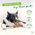 thumbnail image 4 of Benebone Wishbone Durable Dog Chew Toy for Aggressive Chewers, Real Chicken, Medium, 4 of 7