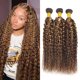 thumbnail image 1 of Hair Bundles Dokksiiia P4/27 Highlight Curly Wave 8A Grade, 1 of 7