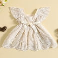 thumbnail image 3 of Bébé bébé Fille Dentelle Robe Florale Broderie Sans Manches A-Ligne Princesse Robes, 3 of 9