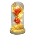 thumbnail image 2 of JilgTeokBeauty and The Rose, Flower with LED Light & Red Roses Romantic Surprise Gifts for Girlfriend Wife Women for Birthday, Valentine's Day, Christmas, Mother's Day(5.31*5.31*9.84in), 2 of 3